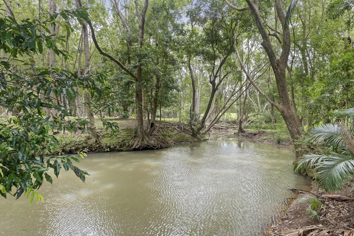 Additional image 24 of 419 Left Bank Road, Mullumbimby NSW 2482