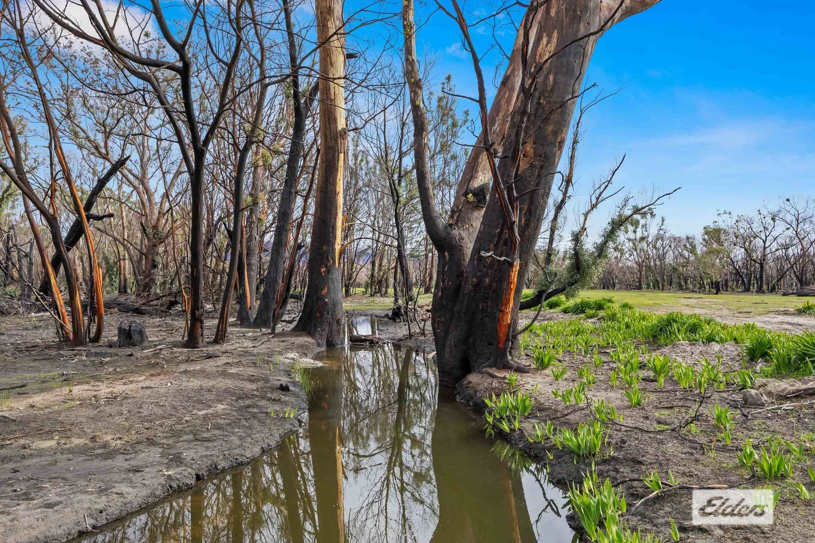 Additional image 15 of 756 Moyston West Road, Moyston VIC 3377