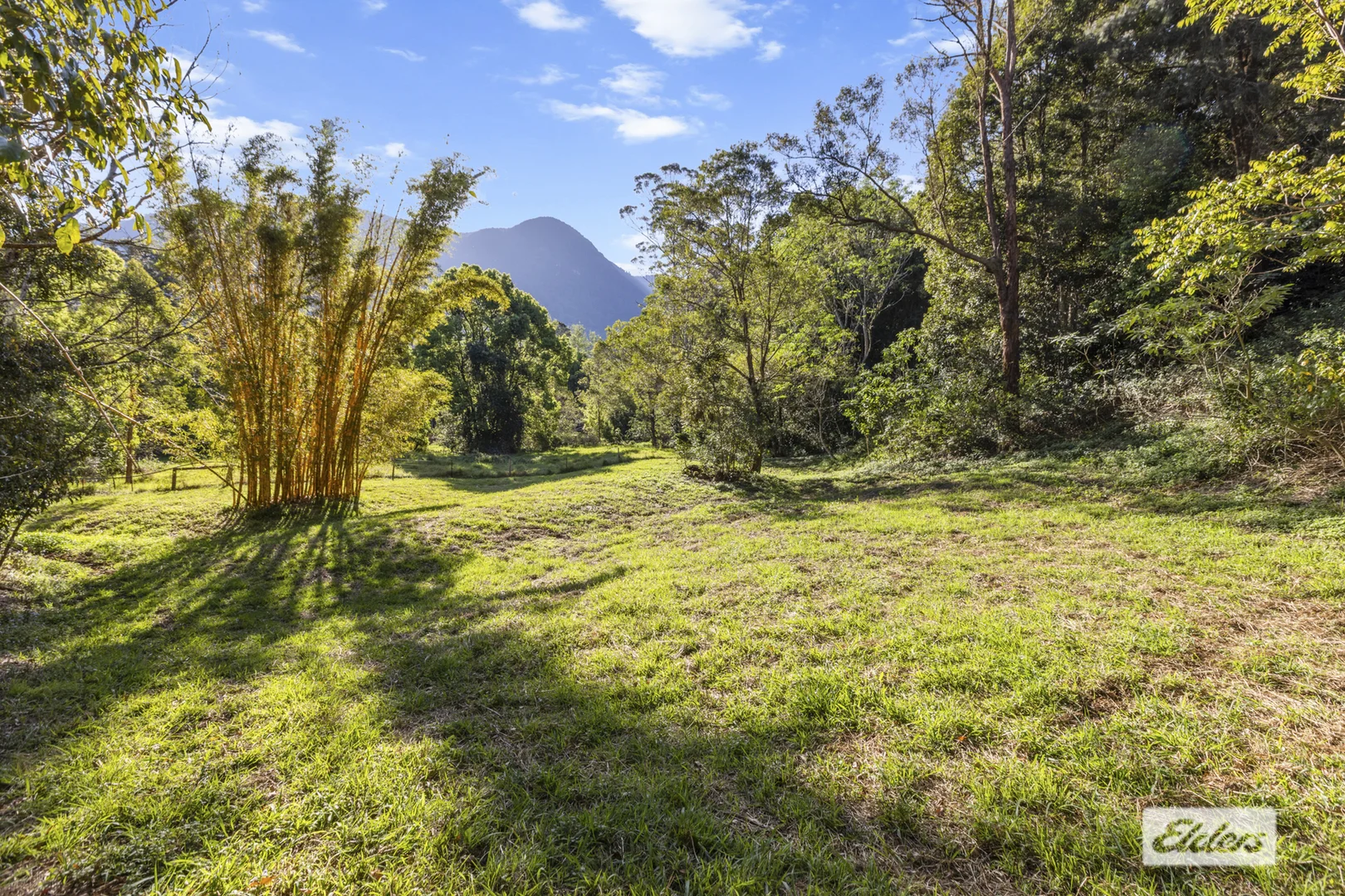 Additional image 25 of 185 Stoddarts Road, Tyalgum Creek NSW 2484