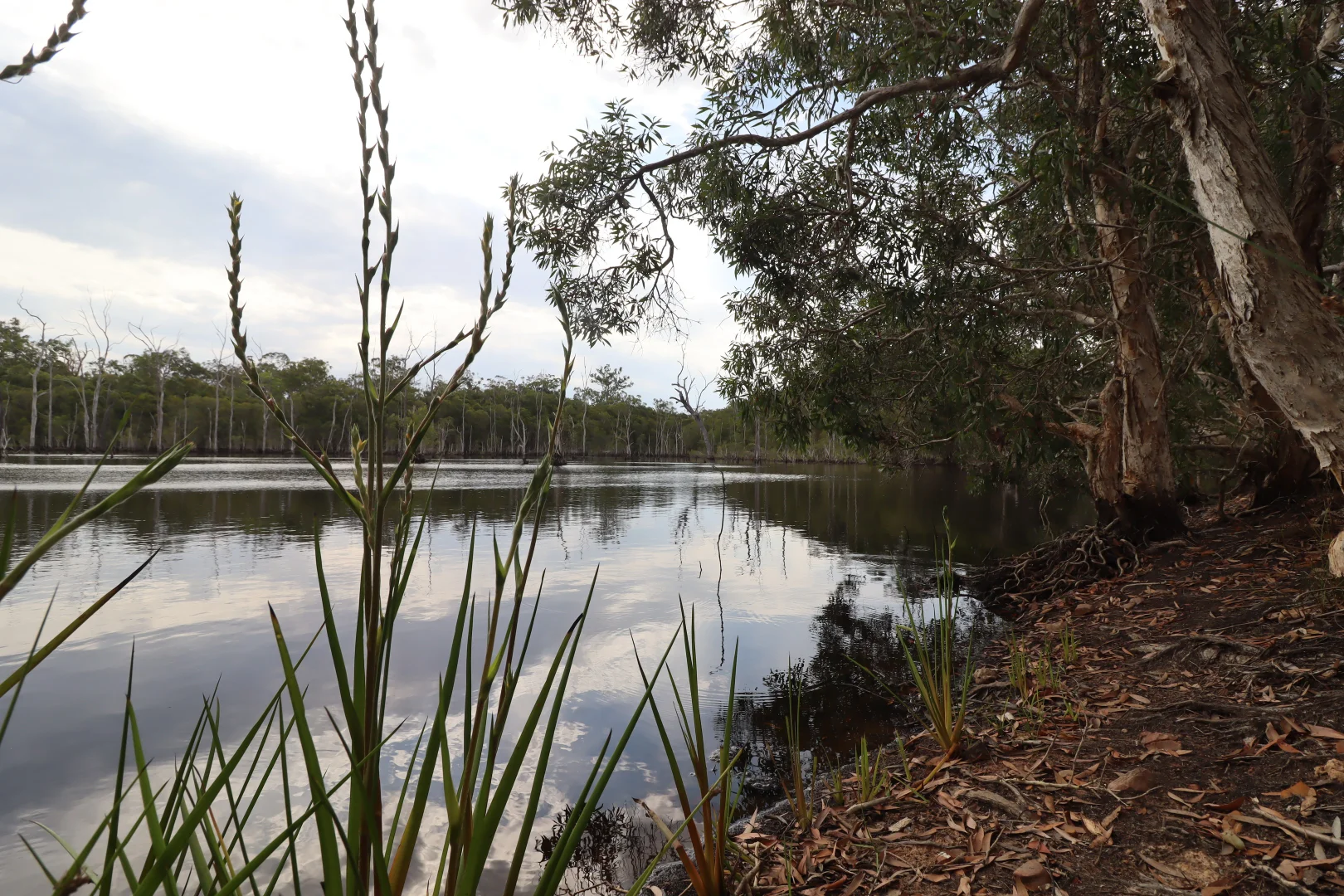 Additional image 3 of 107 Petersens Road, Yandaran QLD 4673