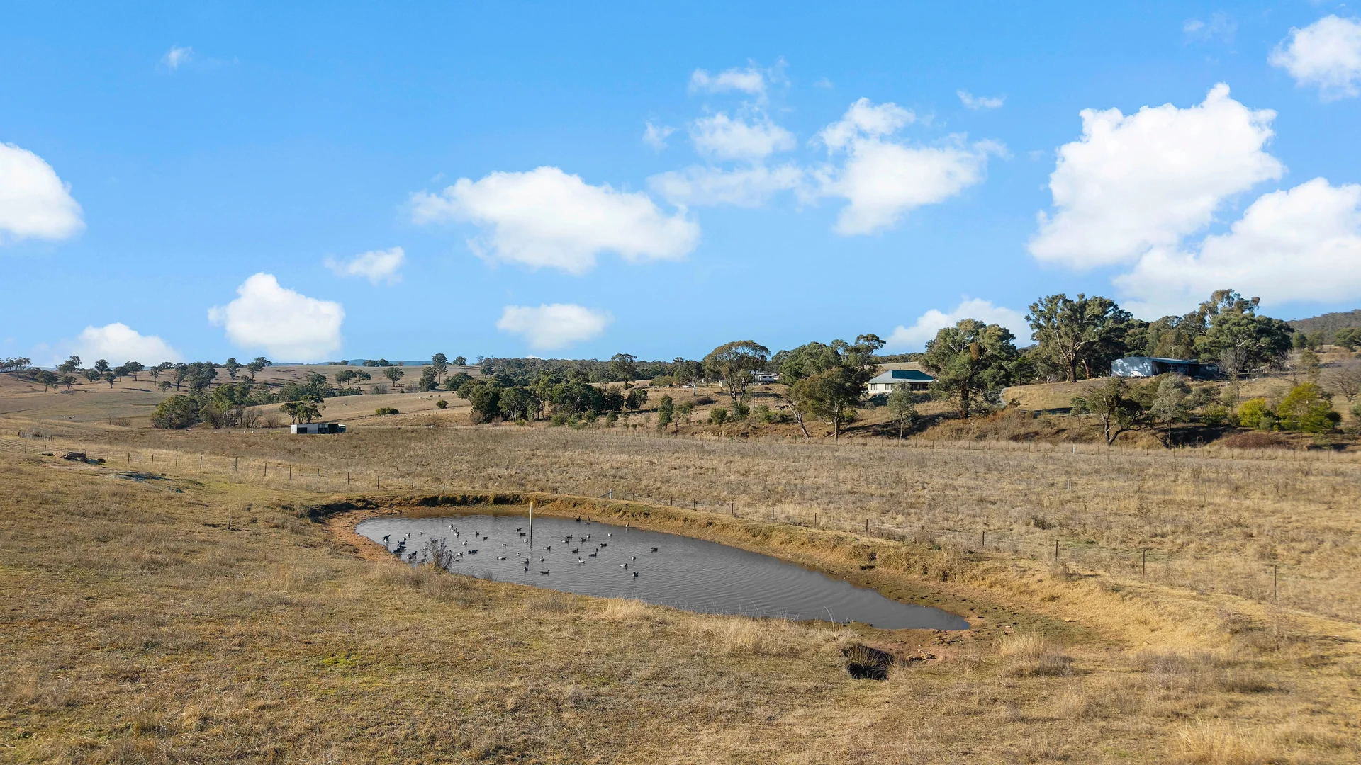 Additional image 35 of 1664 O'Connell Road, O'Connell NSW 2795
