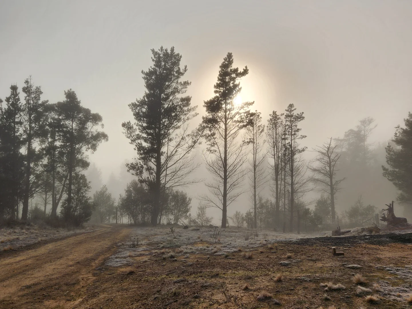 Additional image 23 of 480 Tall Timbers Road, Tomboye NSW 2622