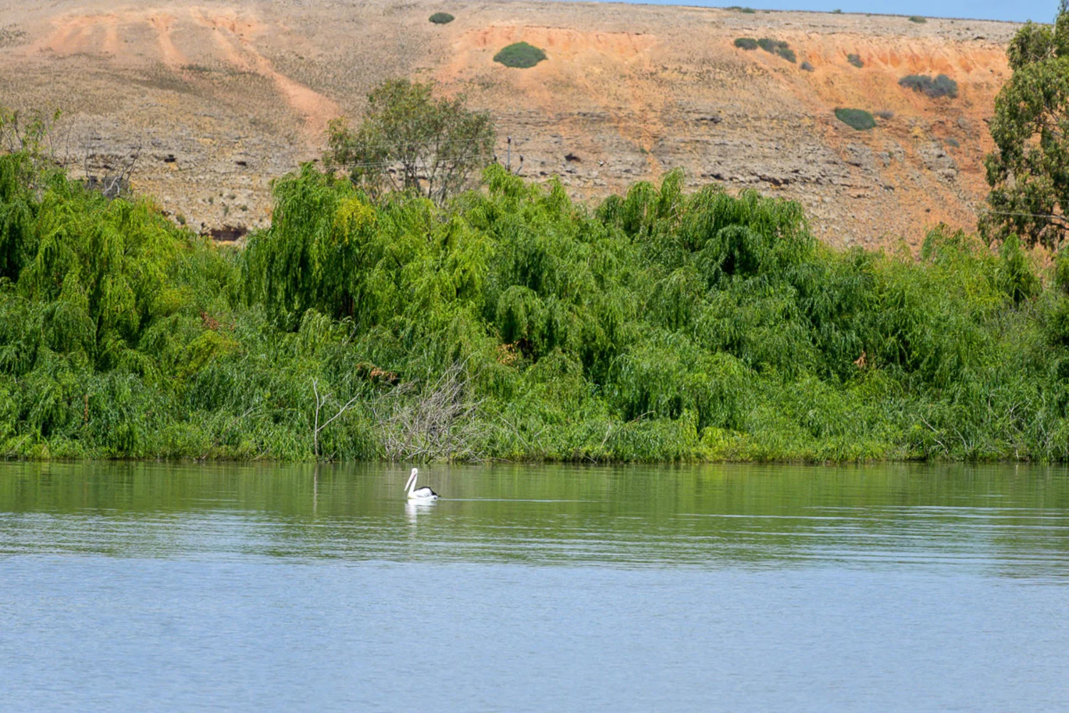 Additional image 7 of 33/479 Dean Jaensch Road, Toora SA 5253