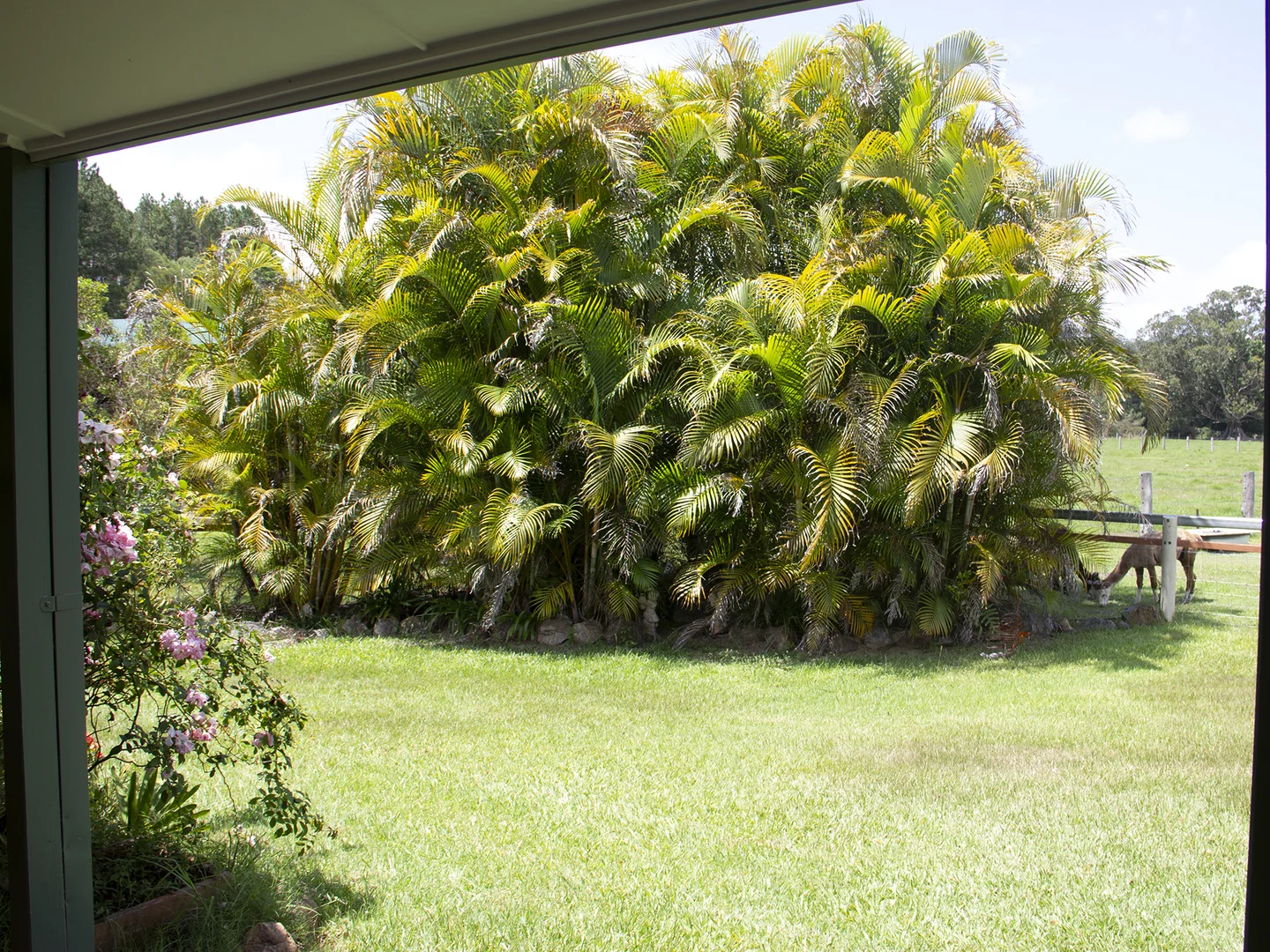 Additional image 28 of 400 Chilcotts Road, Chillingham NSW 2484