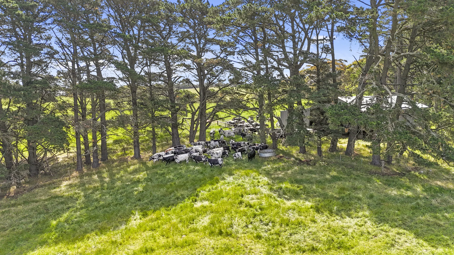 Additional image 27 of 137 Faggotter Road, Myponga SA 5202