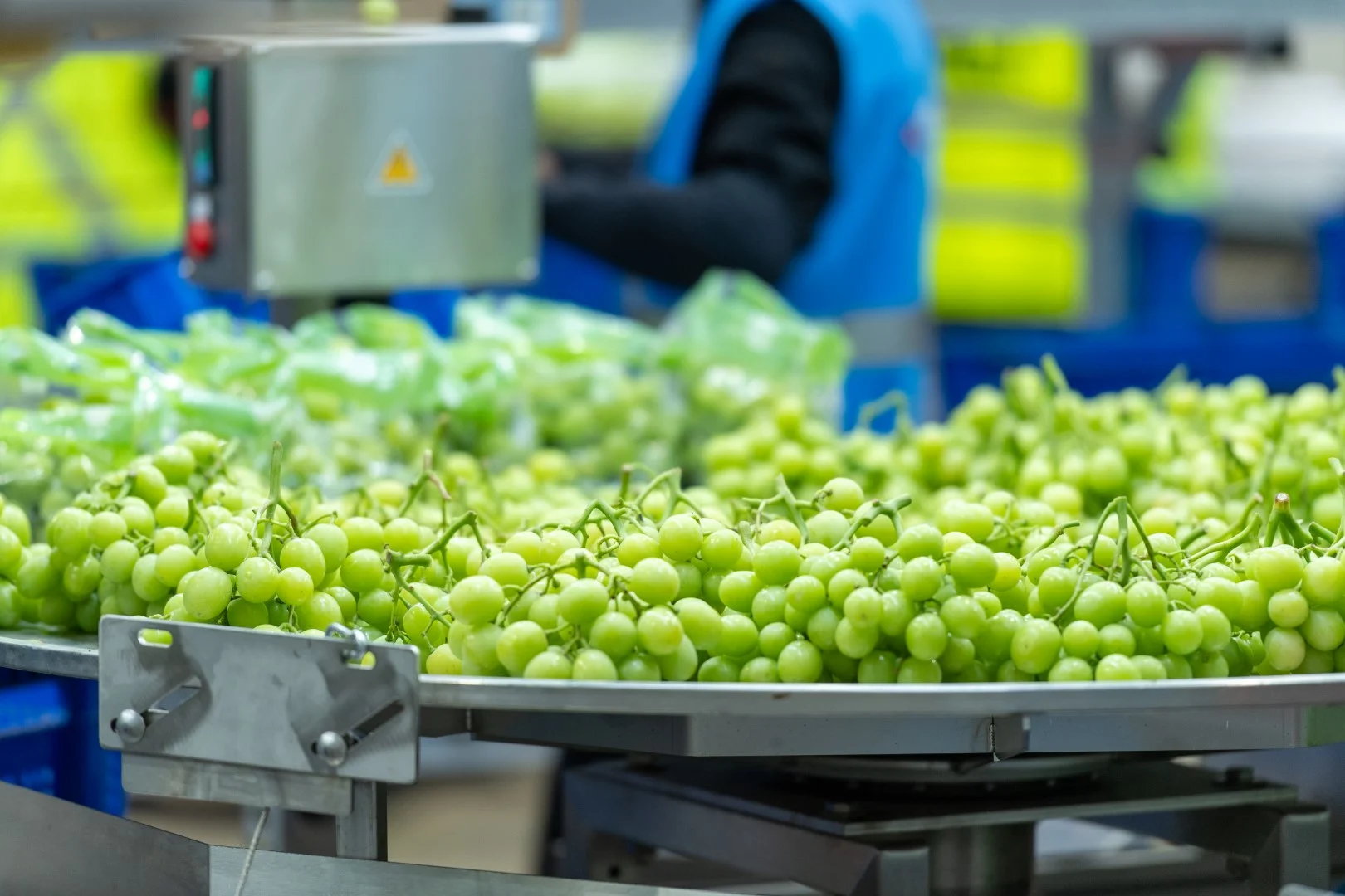 Additional image 8 of 1251 Stanitzki Road, Pike River SA 5340