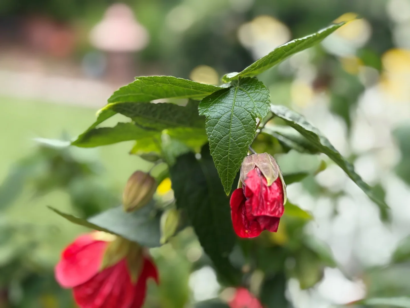 Additional image 17 of 009 /249 High Street, Hastings VIC 3915