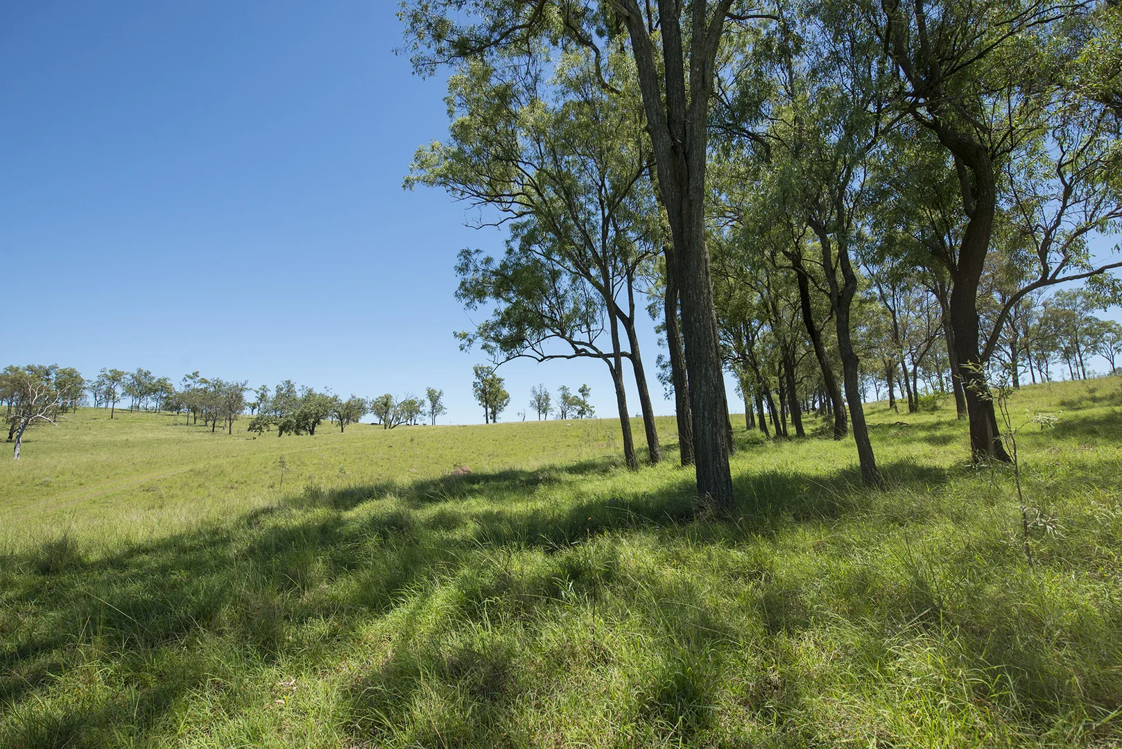 Additional image 12 of Corner Tralee & Waines Road, Mount Walker West QLD 4340