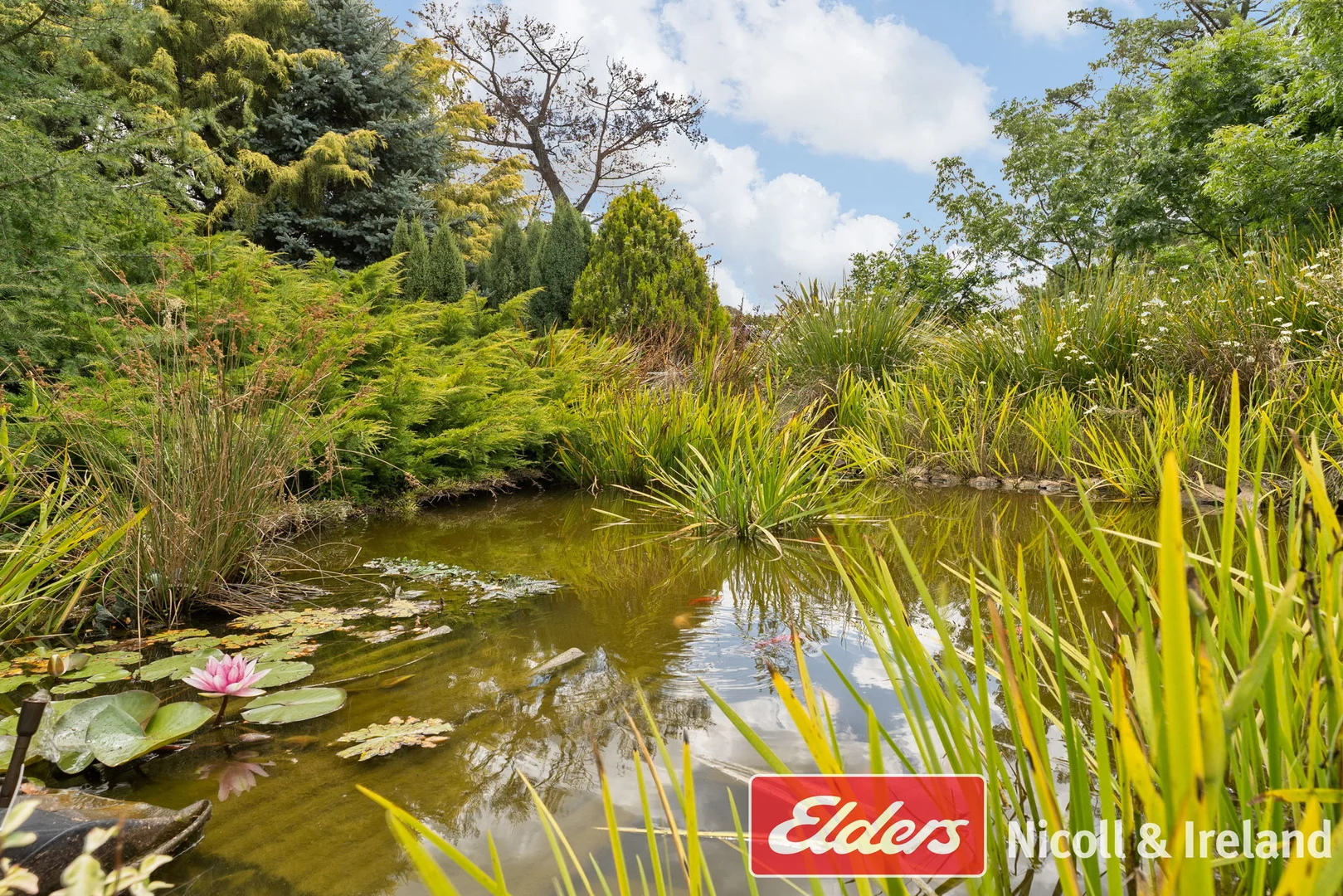 Additional image 15 of 42 Wallace Lane, Canobolas NSW 2800