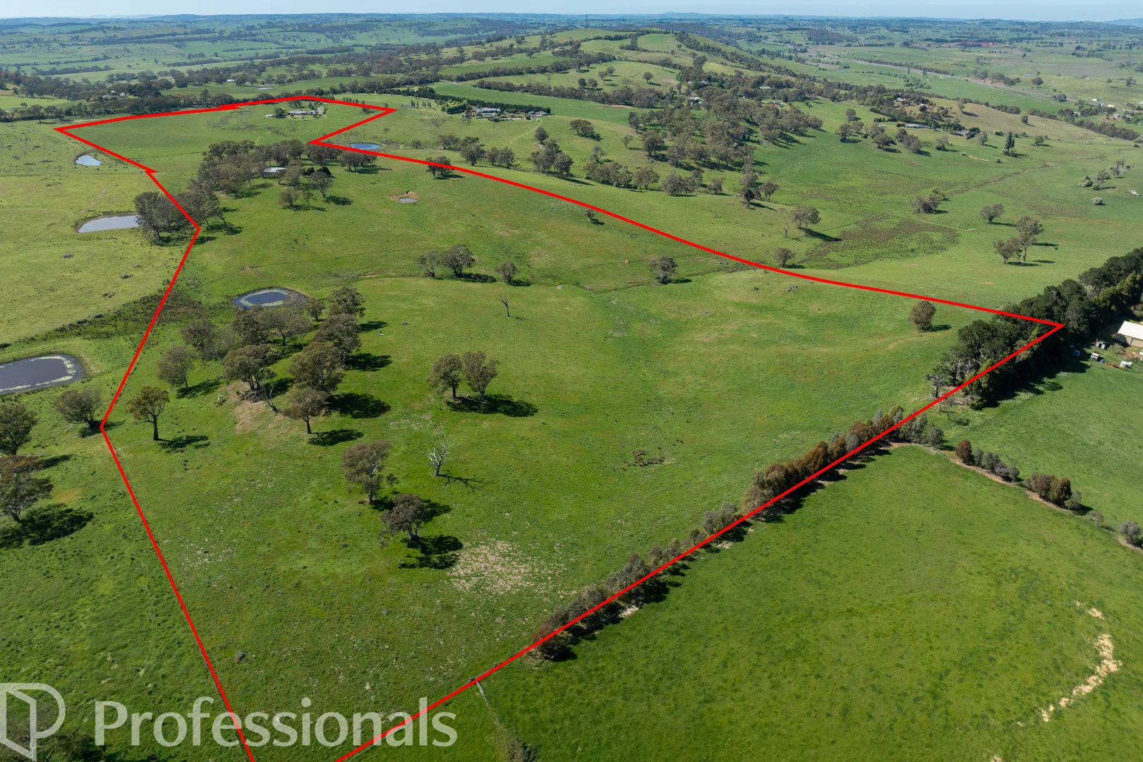 Additional image 33 of 225 Emu Swamp Road, Orange NSW 2800