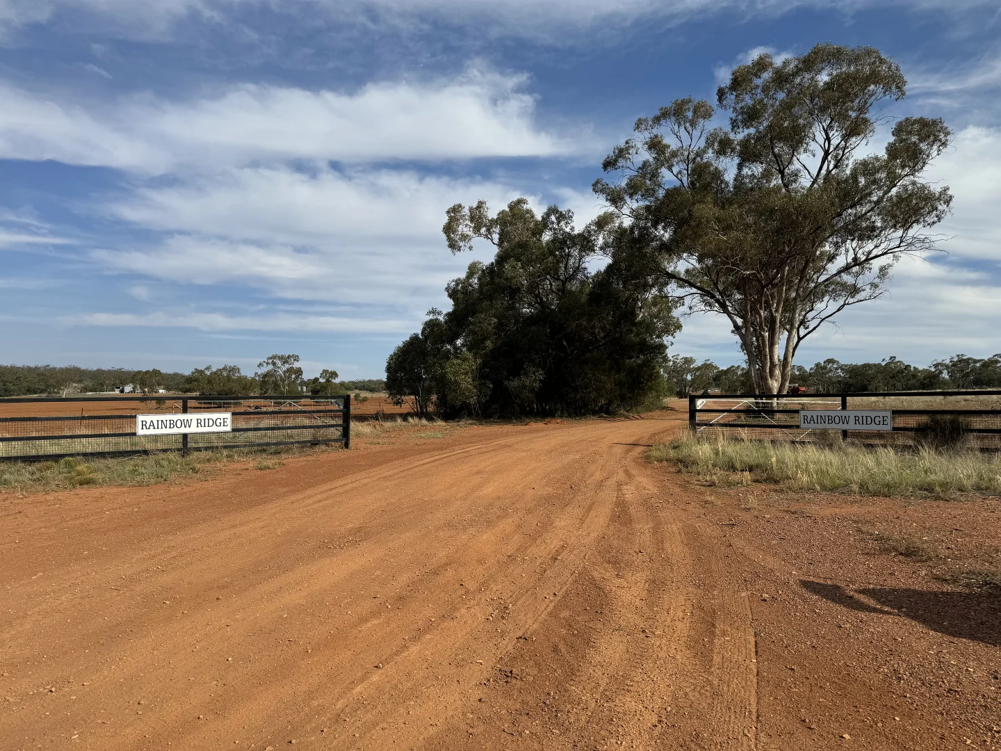 Additional image 20 of 2823 Hermidale Nymagee Road, Hermidale NSW 2831