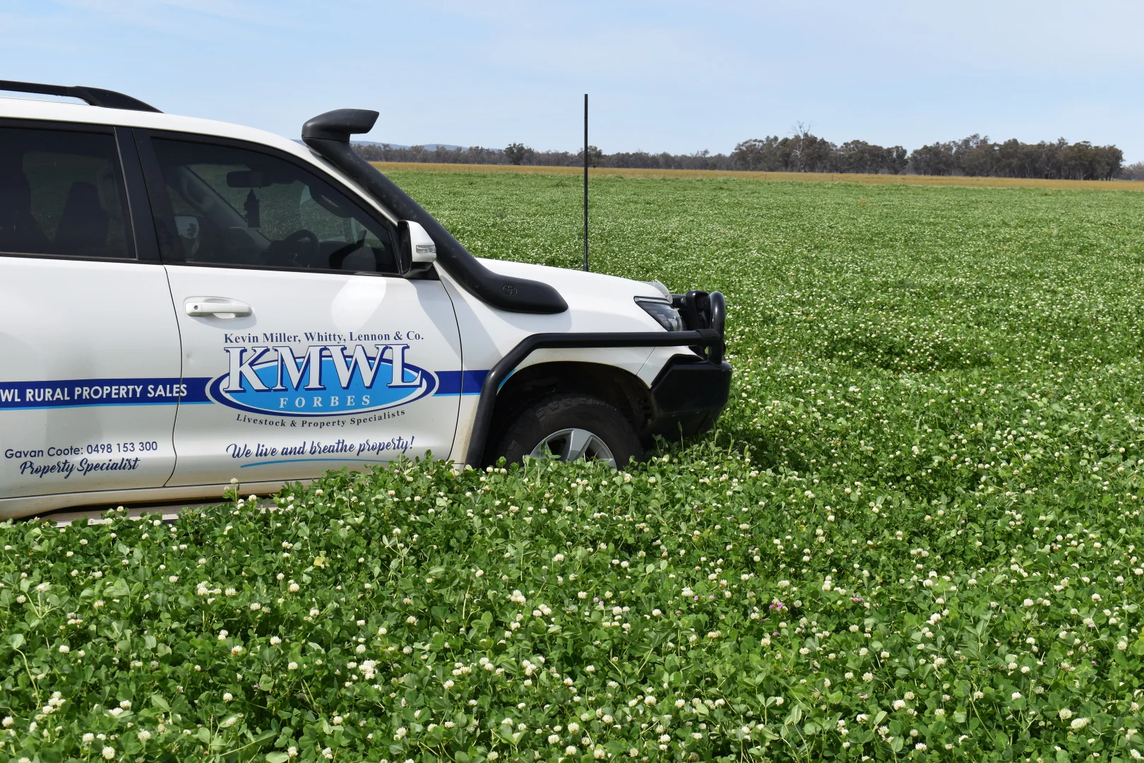 Additional image 11 of 2071 Yarrabandai Road, Bedgerabong NSW 2871