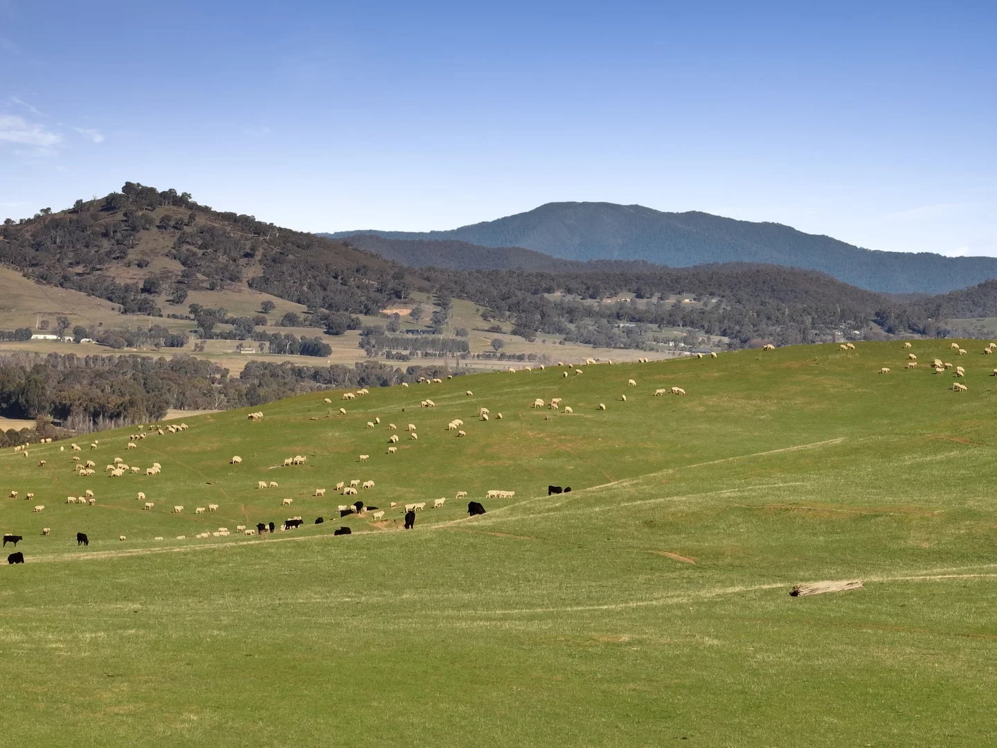 Additional image 7 of Lot 1, 214 Hearns Road, Boorolite VIC 3723