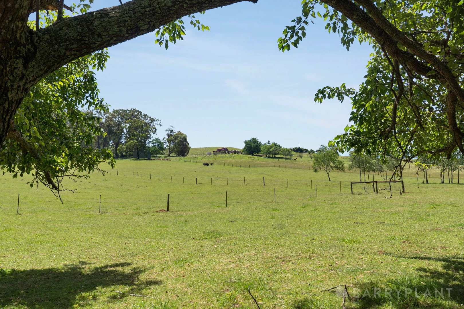 Additional image 25 of 81 Jardine Road, Macclesfield VIC 3782