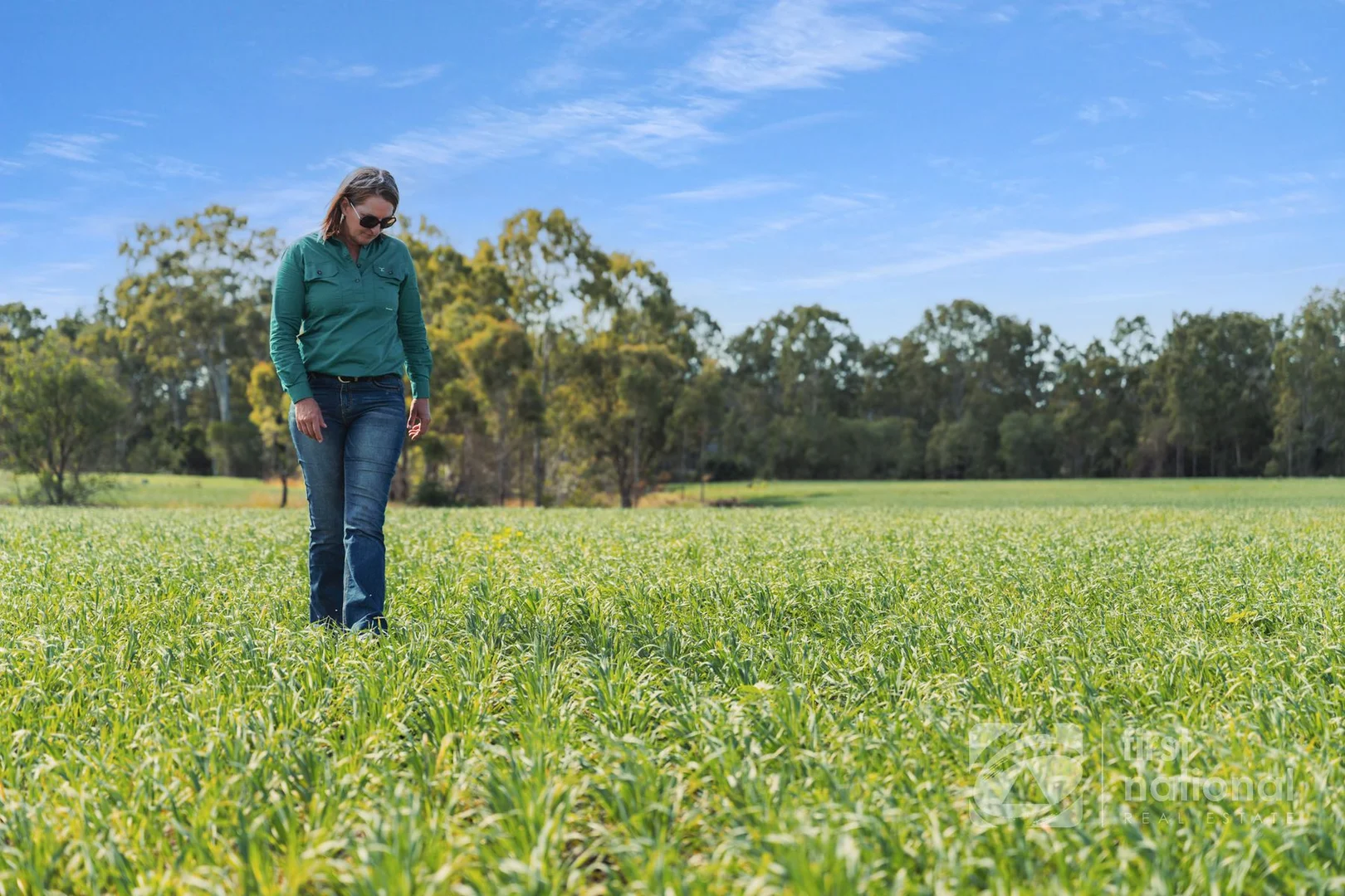 Additional image 28 of 149 Smiths Crossing Road, Bucca QLD 4670
