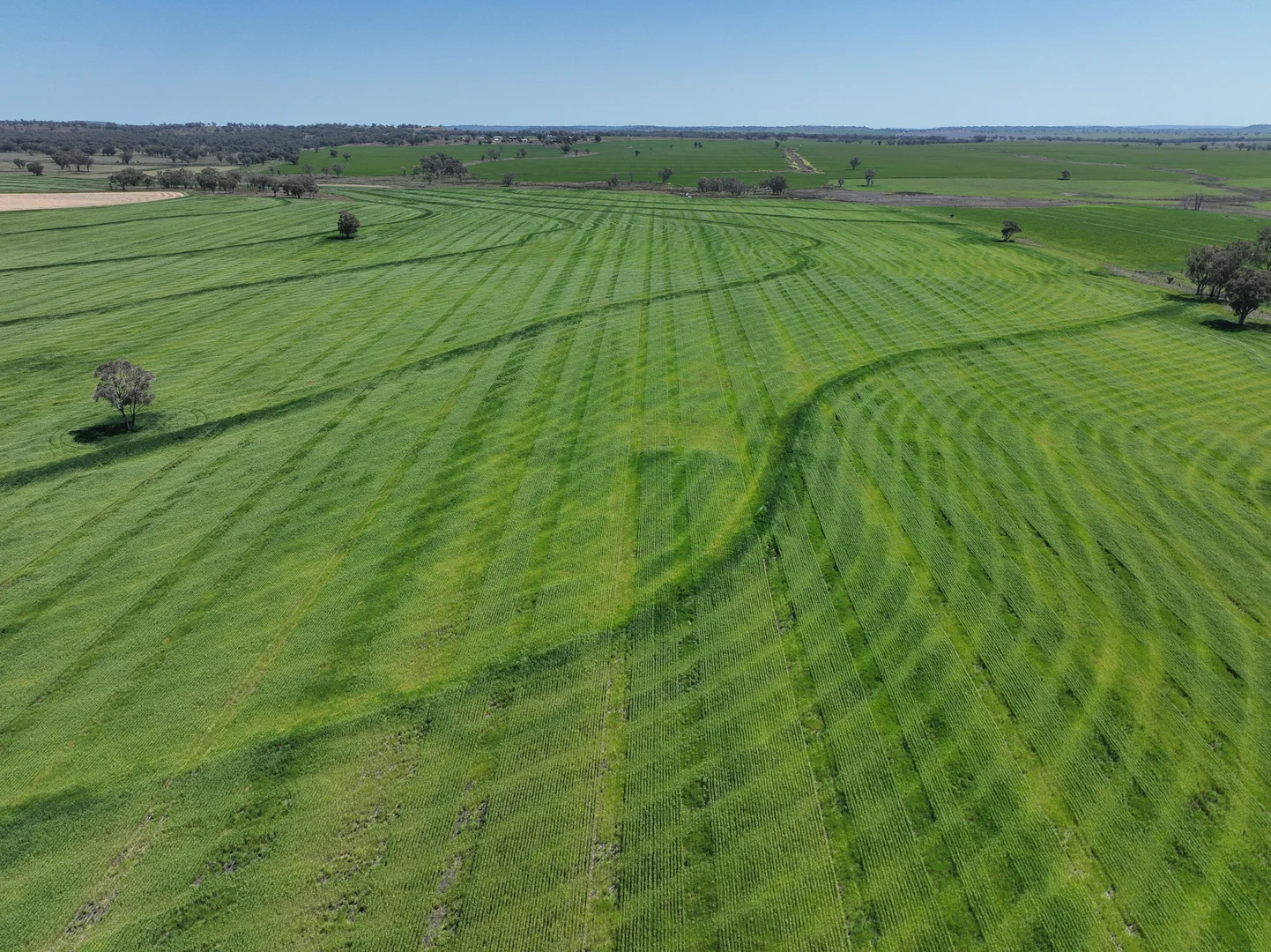 Additional image 4 of 4436 Yetman Road, Graman NSW 2360