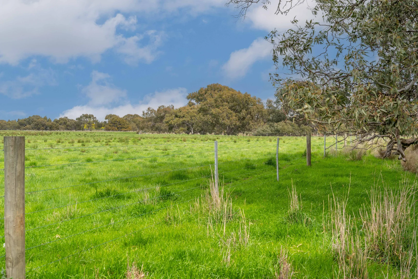 Additional image 5 of 400 Daly Road, Skipton VIC 3361