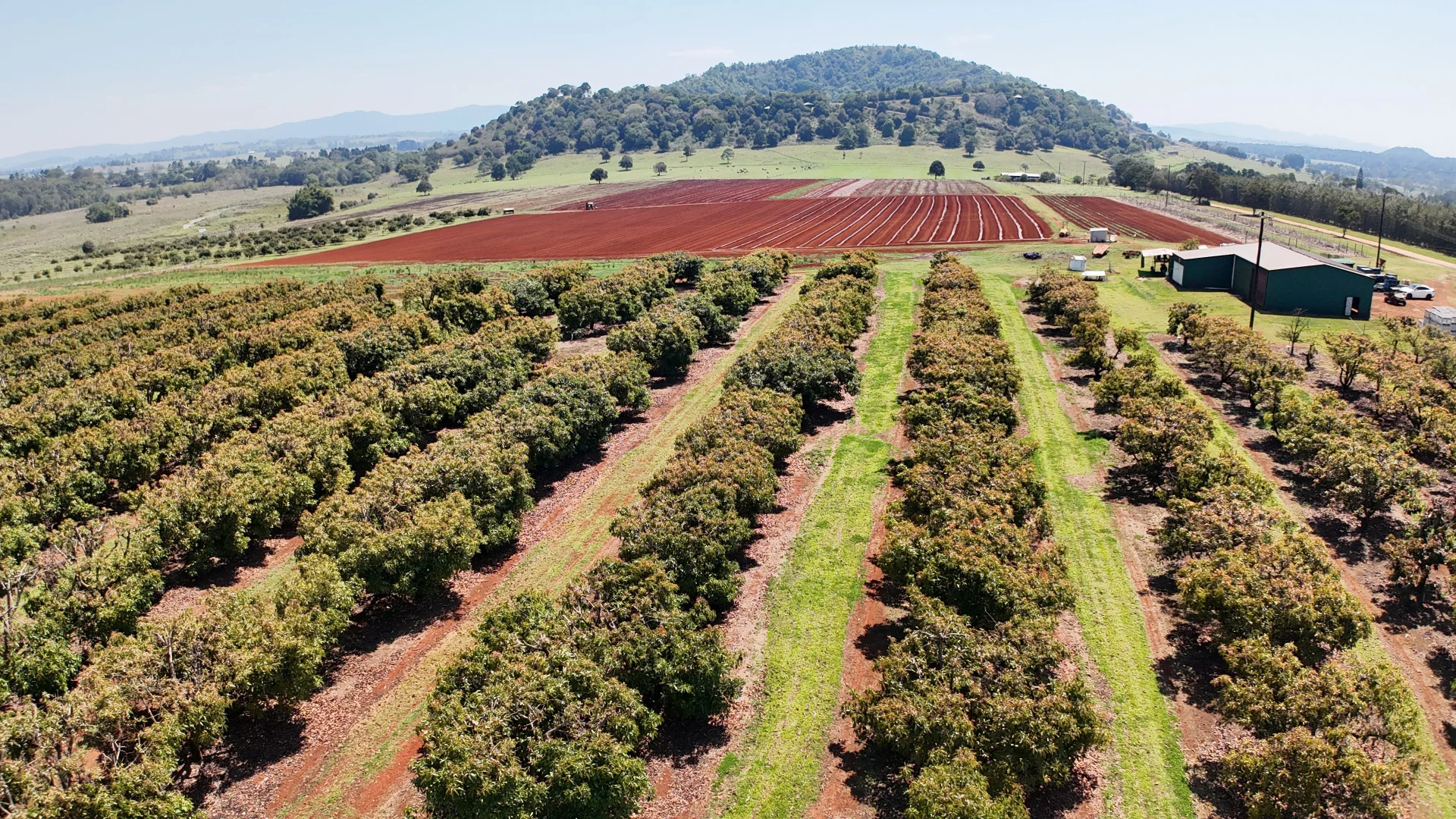 Additional image 52 of 767 Peeramon Road, Peeramon QLD 4885