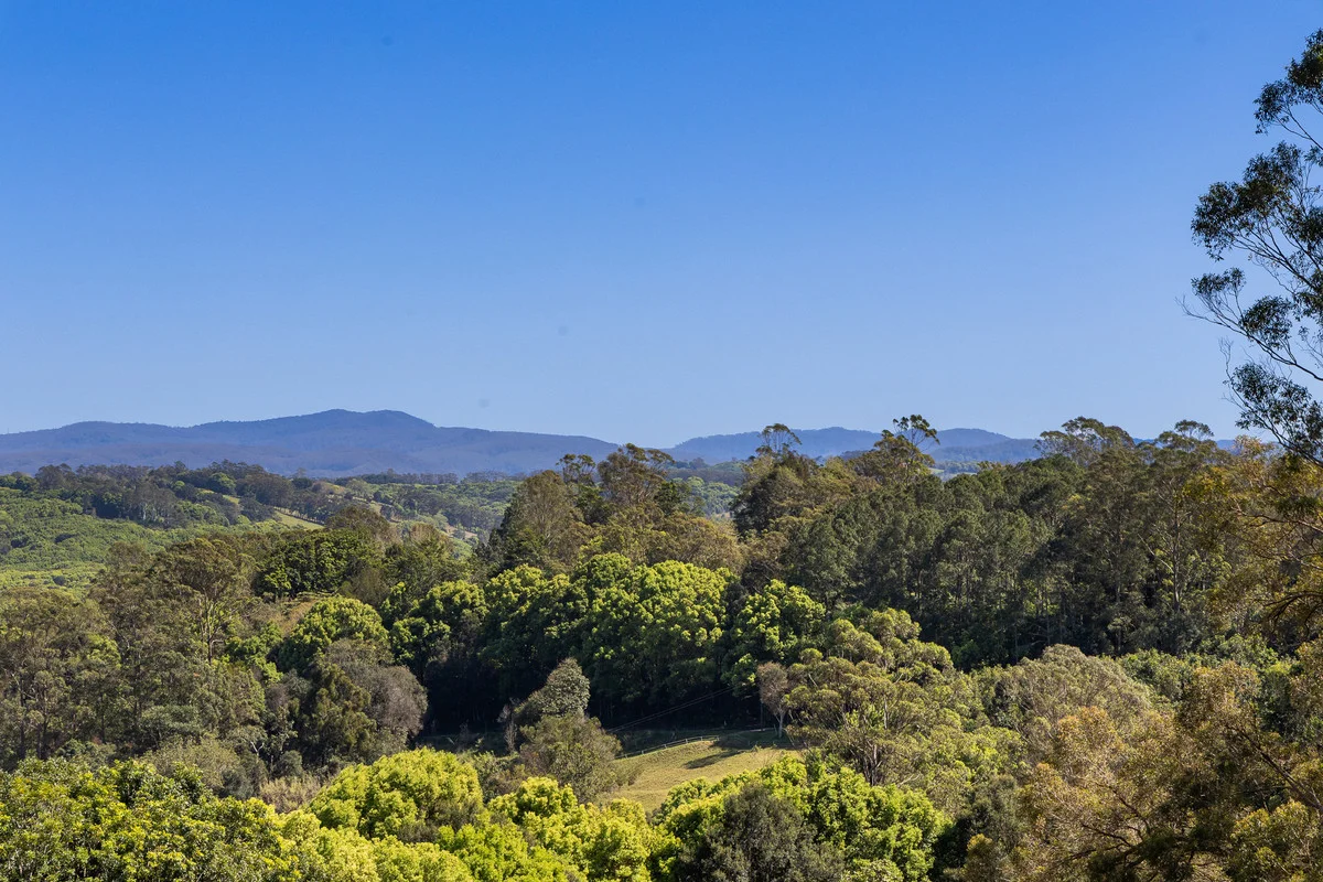 Additional image 29 of 121 Binna Burra Road, Binna Burra NSW 2479