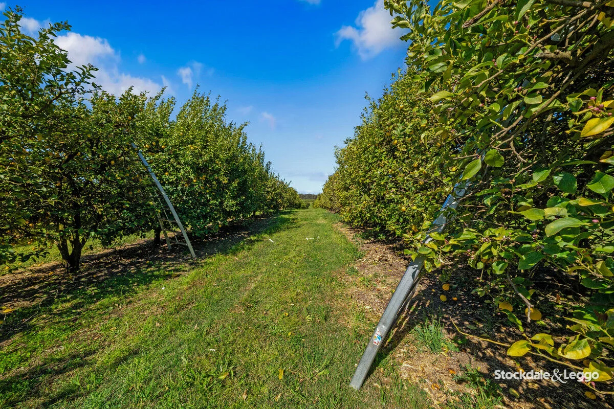 Additional image 3 of 154-198 Torgannah Road, Koonoomoo VIC 3644