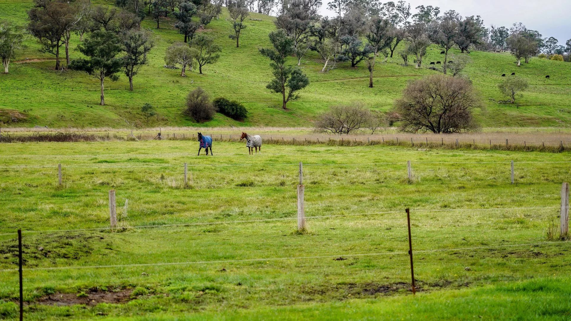 Additional image 23 of 105S Derby Street, Walcha NSW 2354
