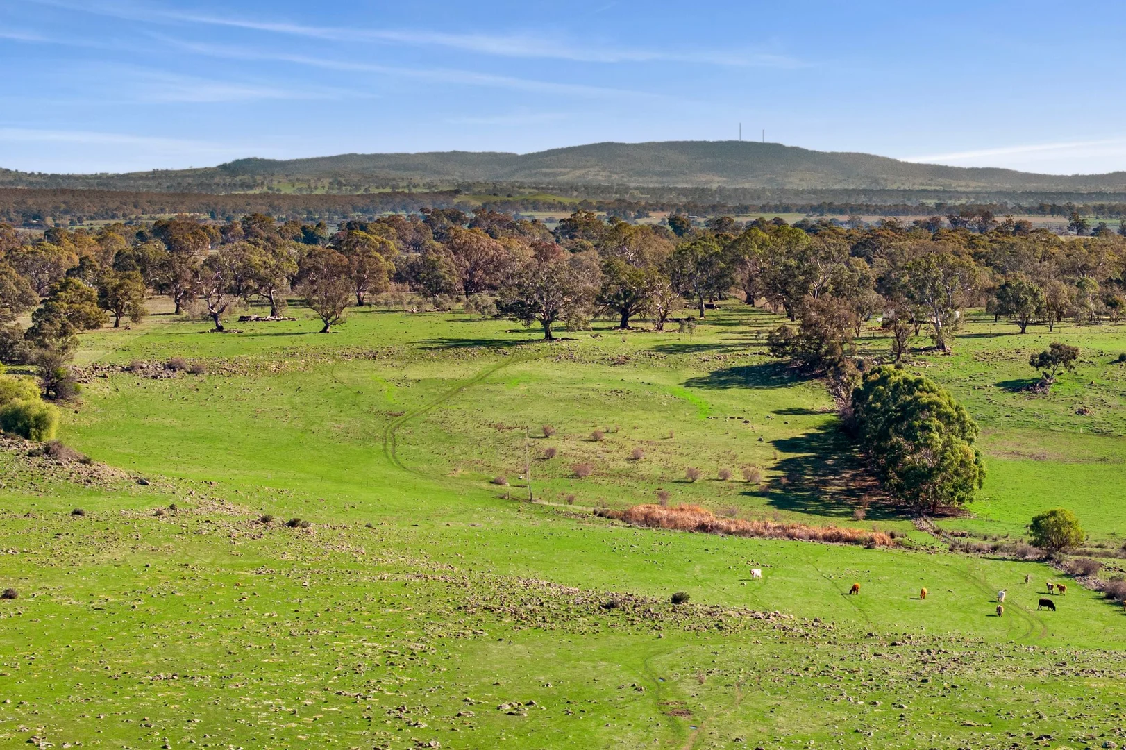 Additional image 12 of 3635 Burke and Wills Track, Mia Mia VIC 3444