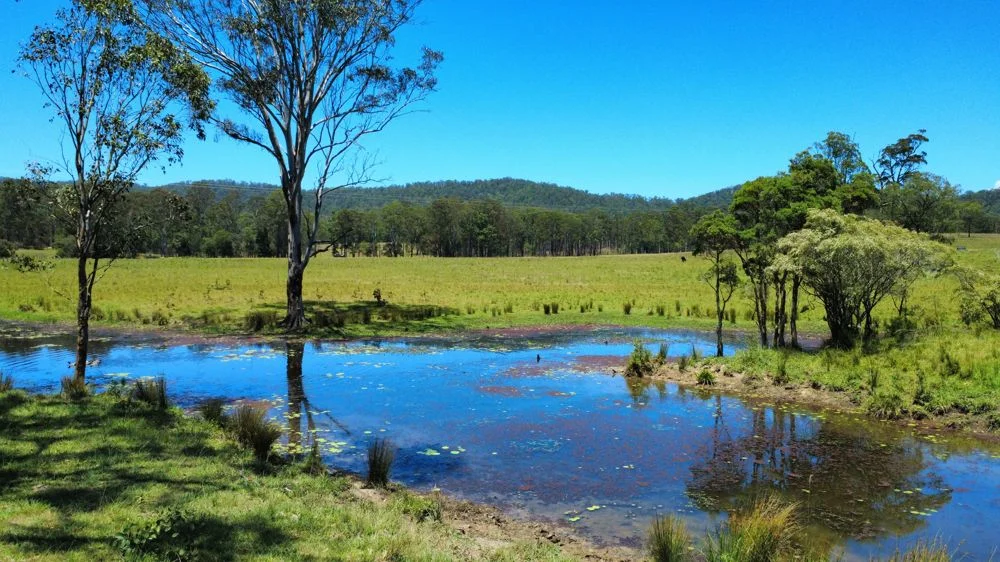 Lot 2 Upper Smiths Creek Road, Kundabung NSW 2441