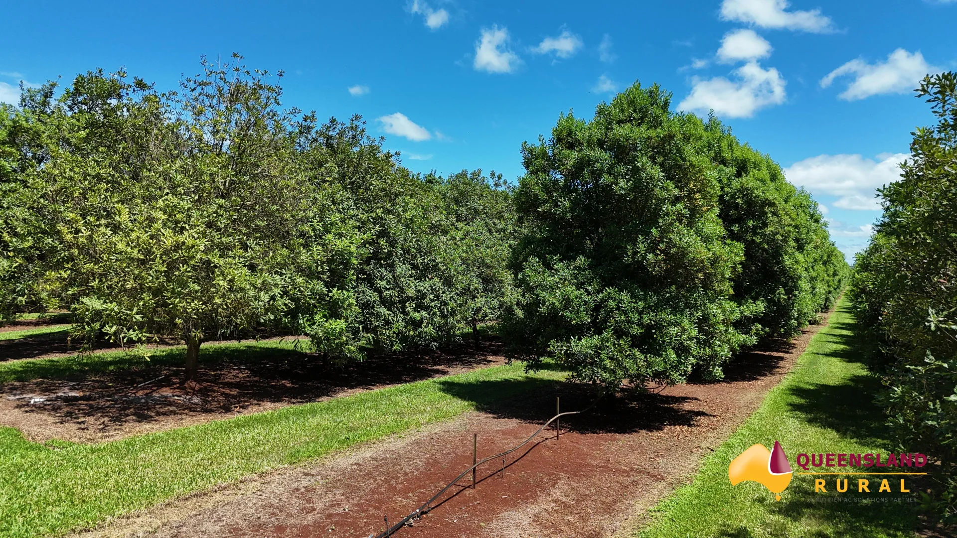 Additional image 28 of Banchio Road, Tolga QLD 4882