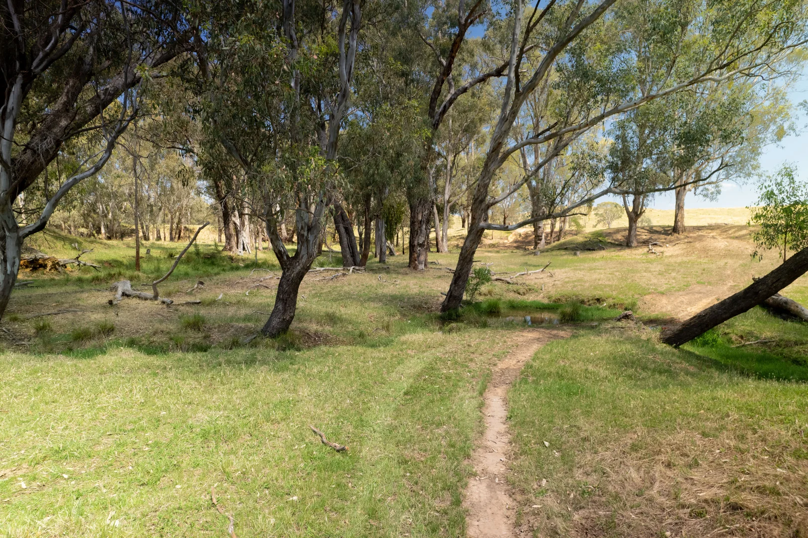Additional image 11 of - Moyhu-Meadow Creek Road, Moyhu VIC 3732