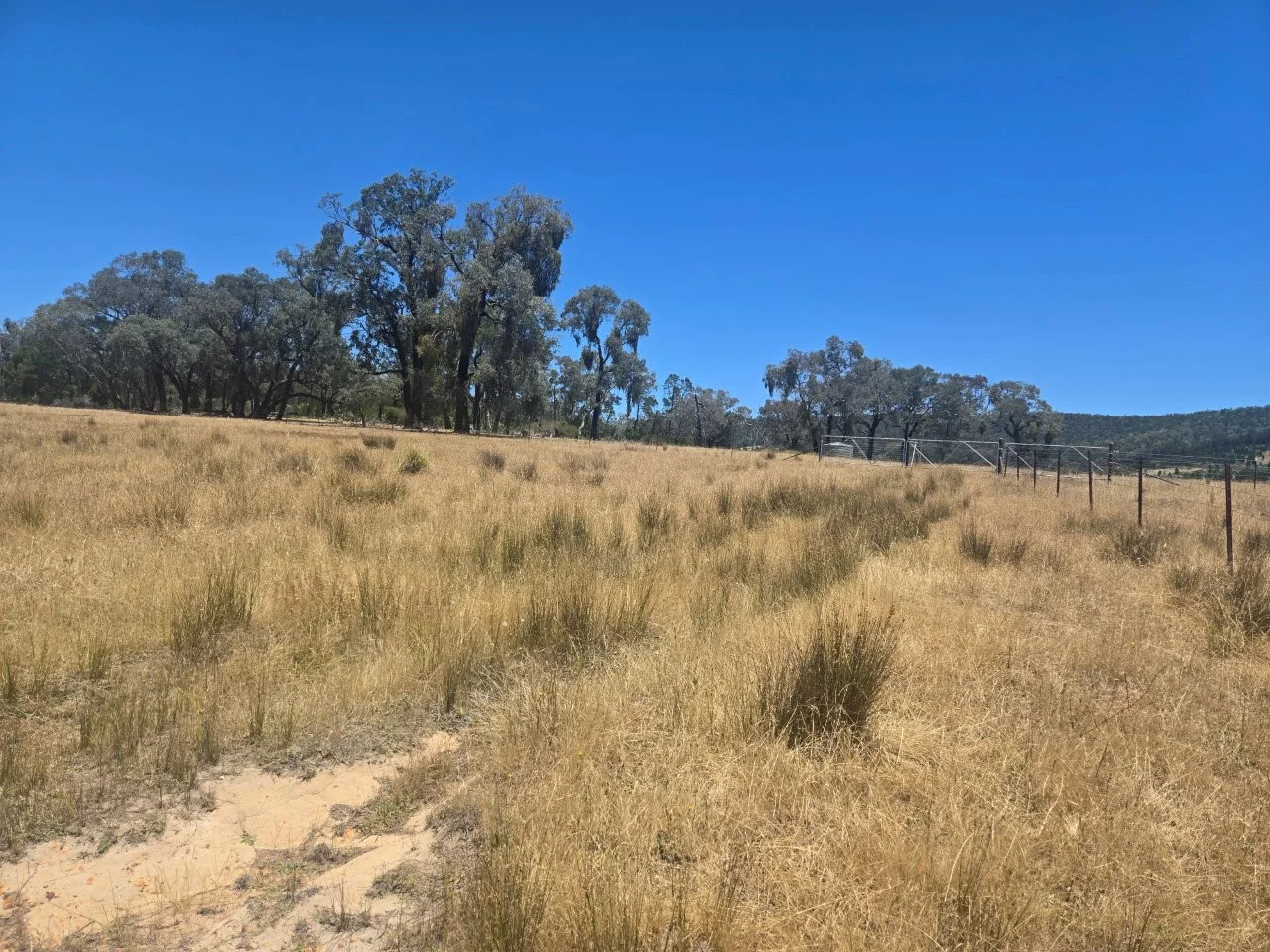 Additional image 22 of "Abercorn", 2154 Kangarooby Road, Gooloogong NSW 2805