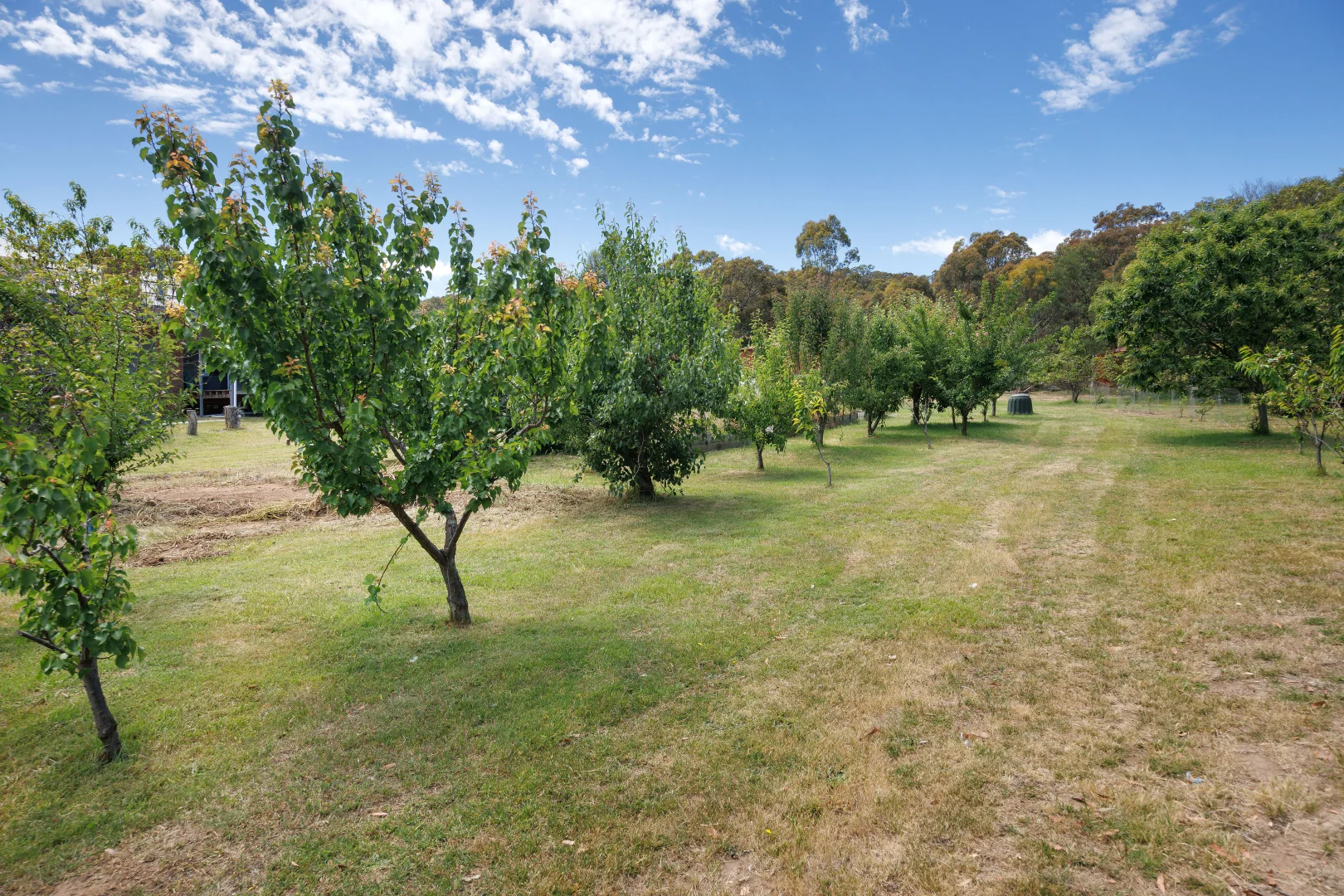 Additional image 22 of 55 Dons Lane, Glenhope East VIC 3522