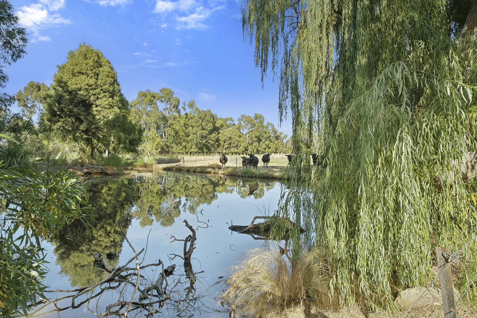 Additional image 19 of 649 Mason Road, Girgarre VIC 3624