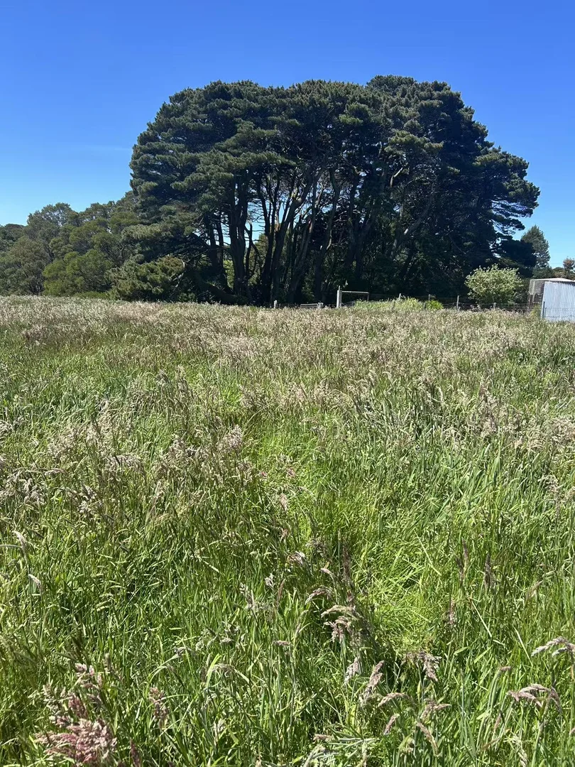 Additional image 9 of 18A Great Ocean Road, Lavers Hill VIC 3238