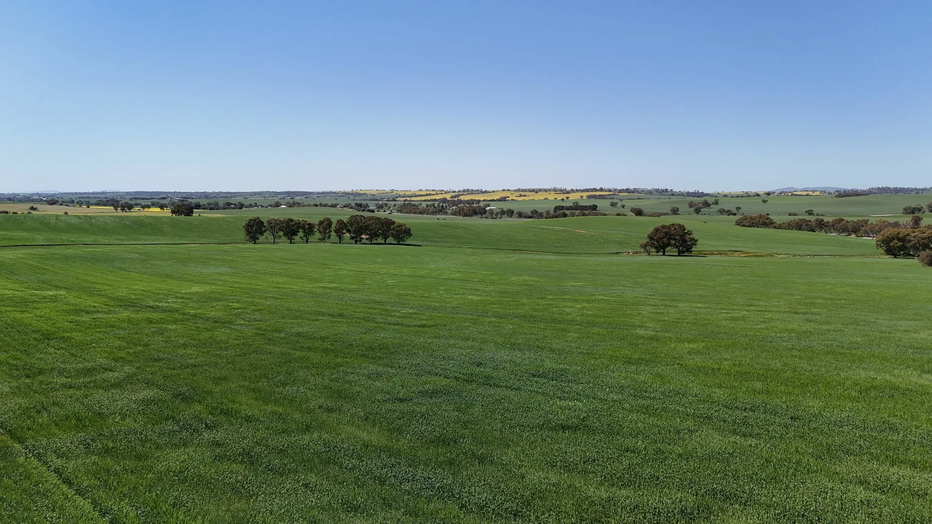 Additional image 7 of 'Ryans' Archie Road, Murray Town SA 5481