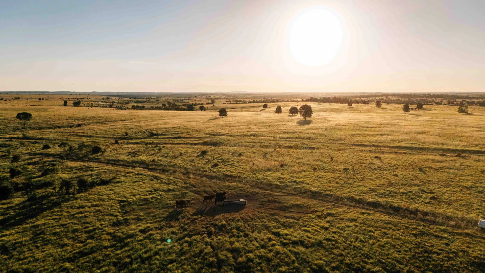 Additional image 6 of Waikola QLD 4420