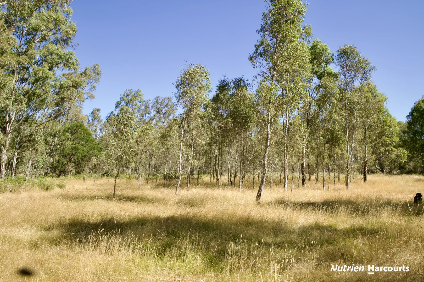 Additional image 23 of 579 Casterton - Dartmoor Road, Bahgallah VIC 3312