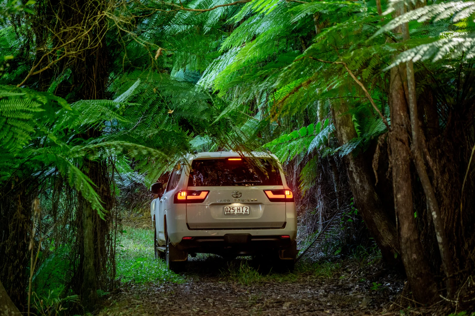 Additional image 33 of Sleepy Hollow NSW 2483