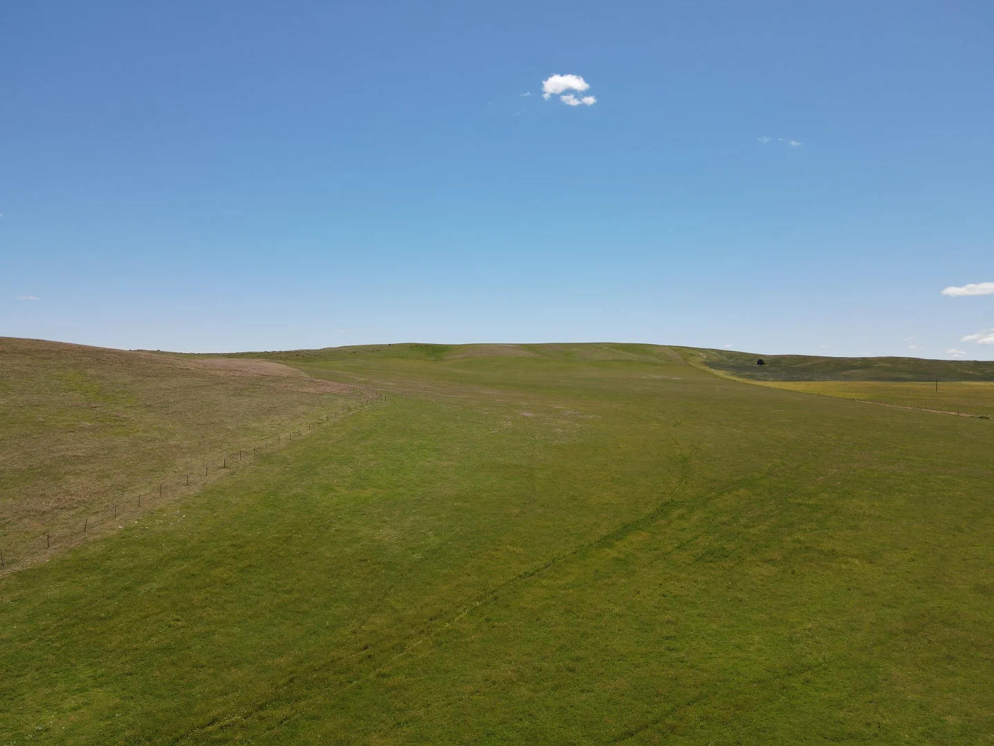 Additional image 7 of 1256 Belalie Rd, Canowie Belt SA 5420