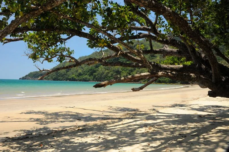 Additional image 16 of 35 Kauri Close, Daintree QLD 4873