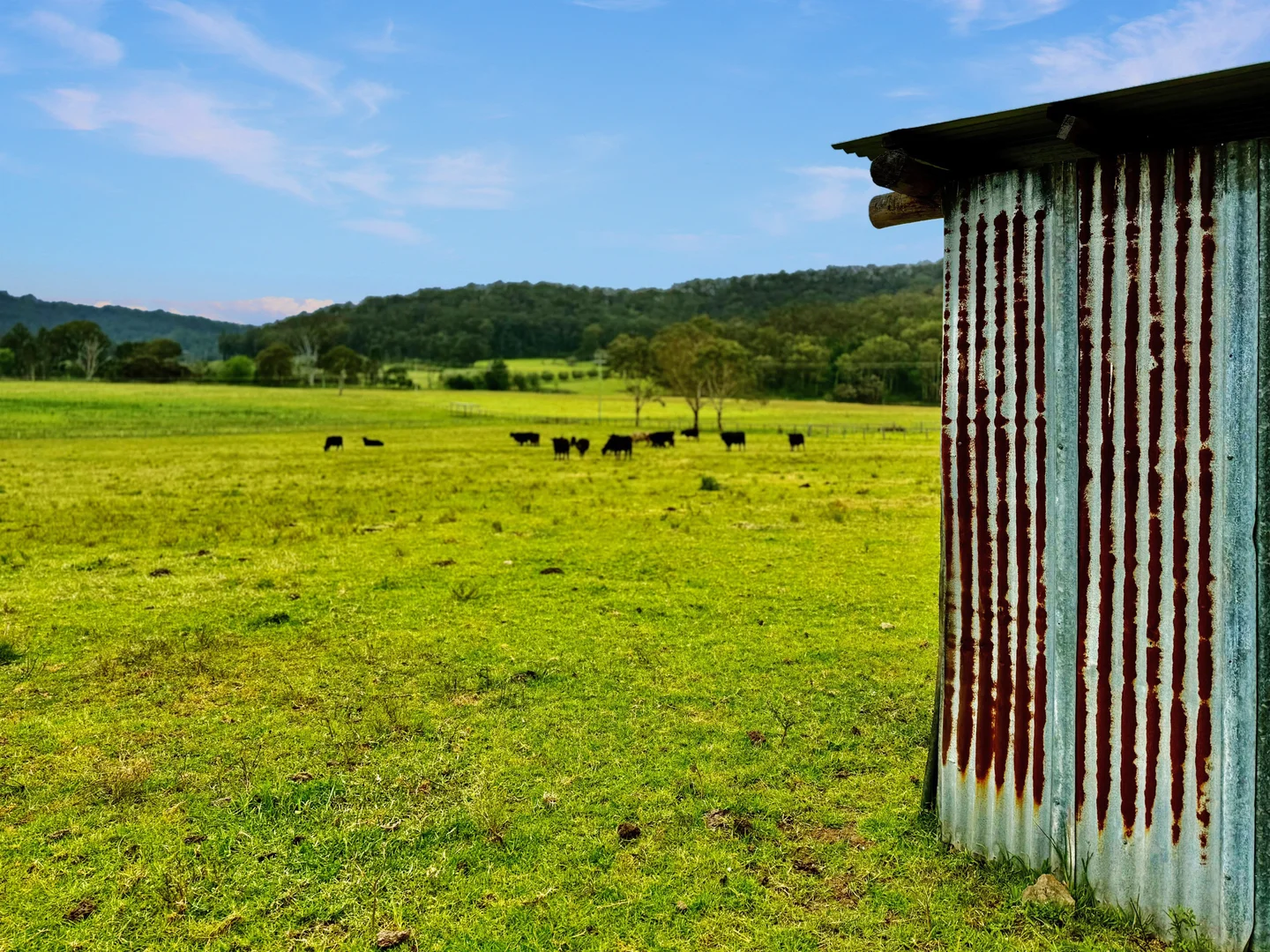 Additional image 28 of 3983 Great North Road, Laguna NSW 2325