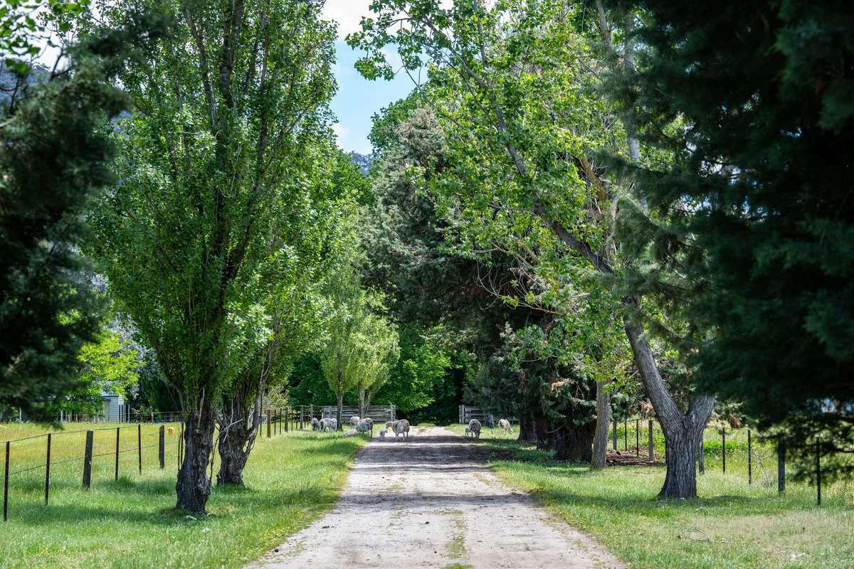 Additional image 14 of 672 Lima East Road, Lima East VIC 3673