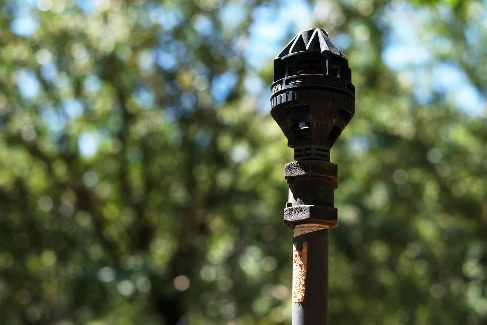 Additional image 8 of 182 Carey Street and 210 Dumosa Street, Red Cliffs VIC 3496