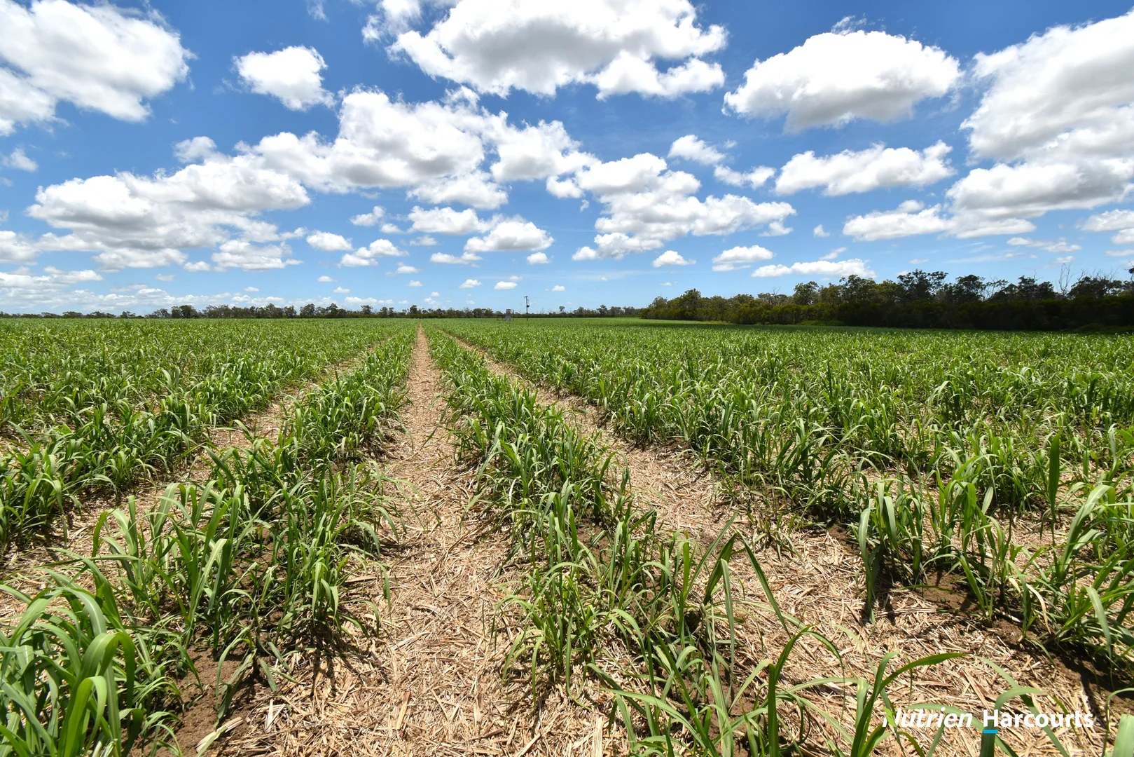 Additional image 12 of 3392 Childers Road, Gregory River QLD 4660