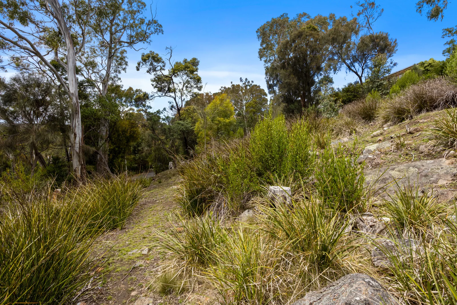 Additional image 14 of 199 Nelson Road, Mount Nelson TAS 7007