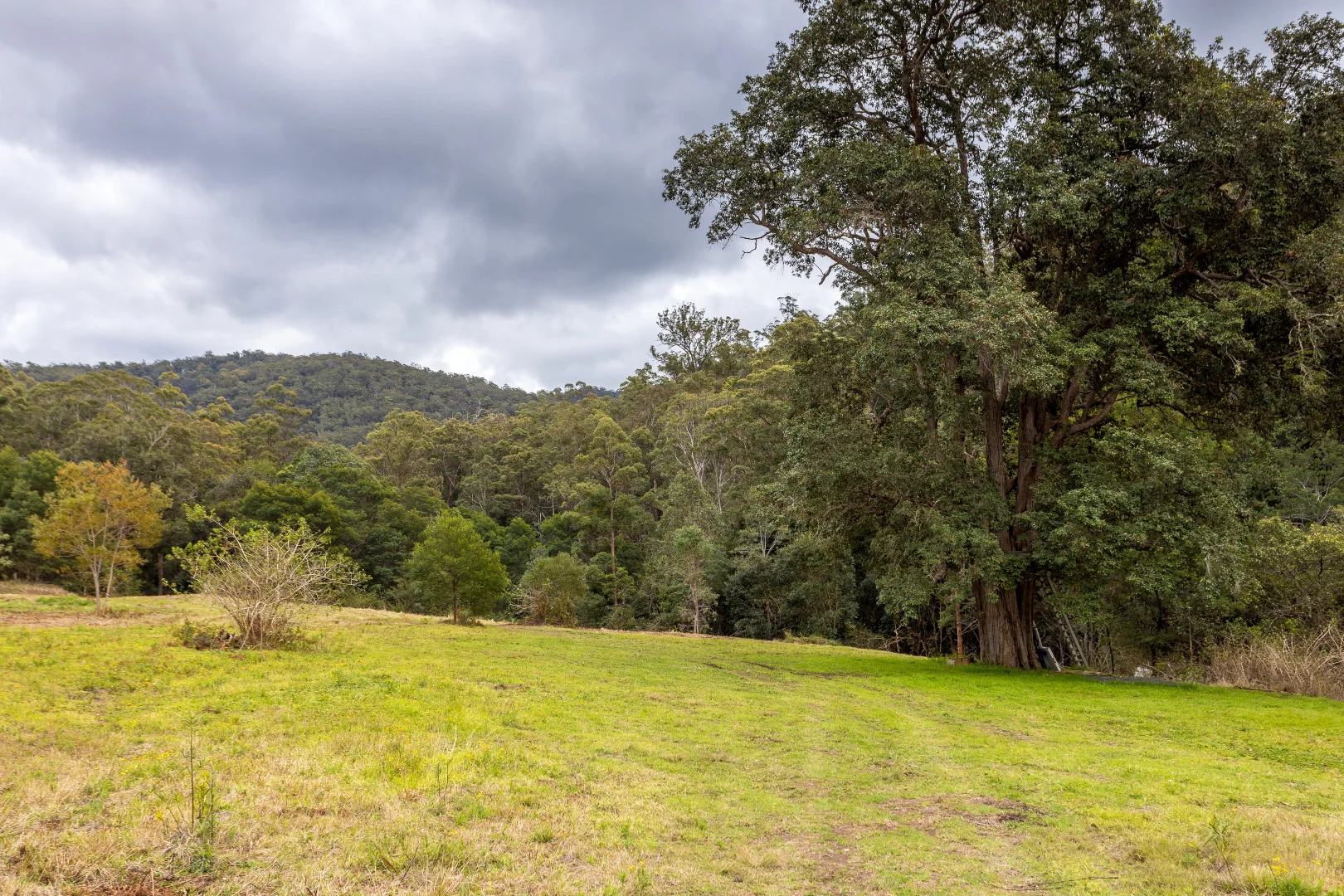 Additional image 14 of 791 Little Run Road, Wherrol Flat NSW 2429