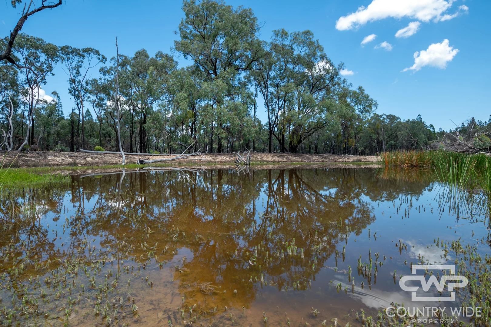 Additional image 17 of 1, - Emmaville Rd, Emmaville NSW 2371