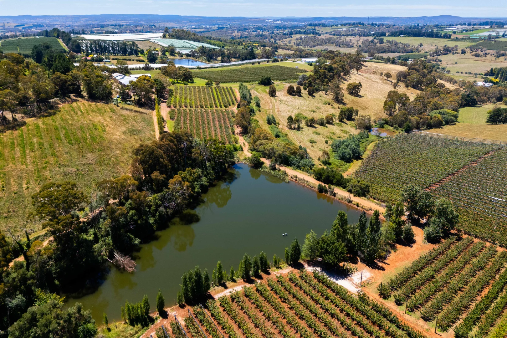 Additional image 5 of 293 Nancarrow Lane, Orange NSW 2800