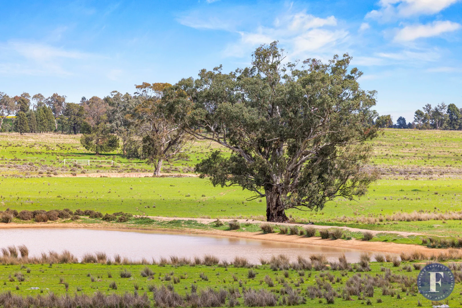 Additional image 6 of 893 Deaths Lane, Pullabooka NSW 2810