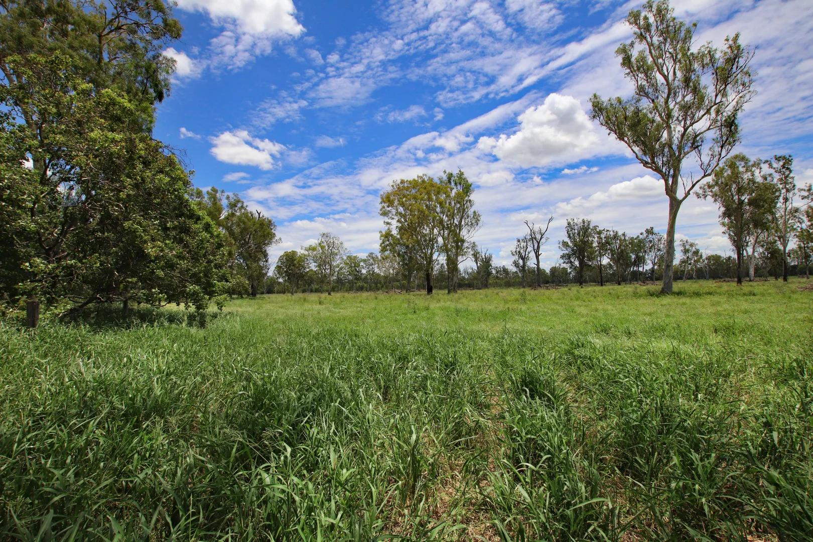 Additional image 18 of 220 Dingles Road, Dixalea QLD 4702