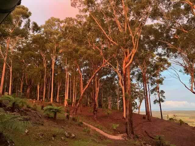 Additional image 16 of 150 Koonyum Range Road, Wilsons Creek NSW 2482